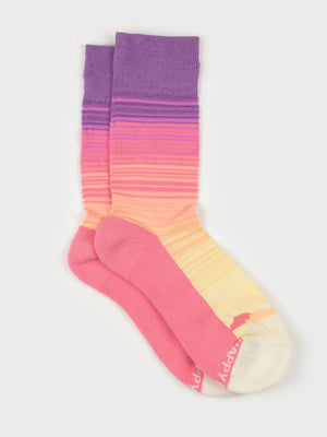 Sunshine Socks