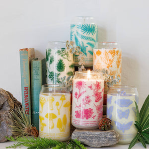 Ferns Soy Candle