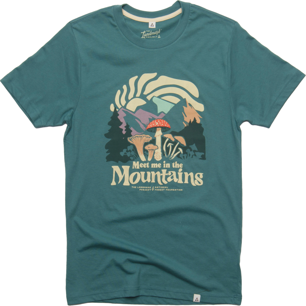 Meet Me in the Mountains Tee